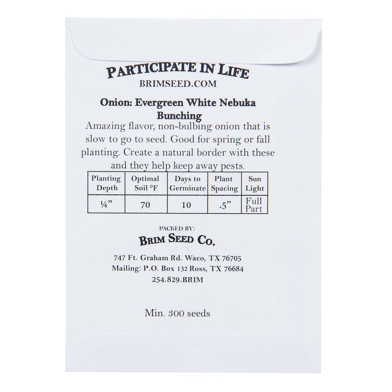 Brim Seed Co. - Evergreen White Nebuka Bunching Onion Seed