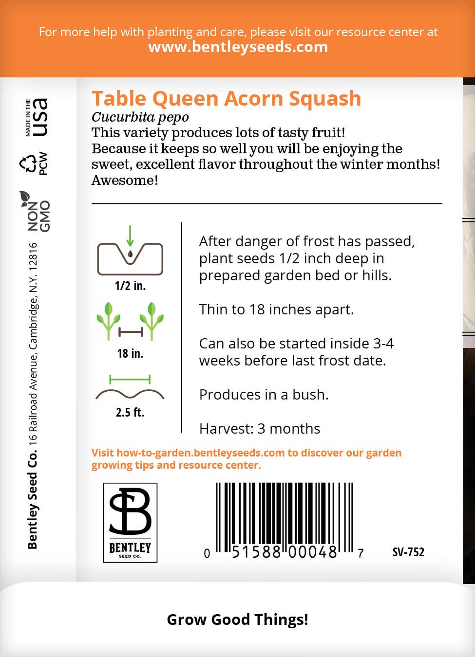 Acorn Table Queen Squash growing on the vine