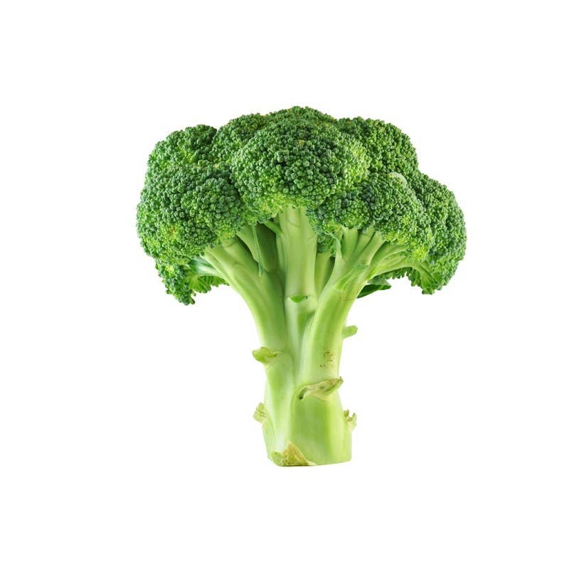 Broccoli Green Sprouting Calabrese seed packet back with planting info
