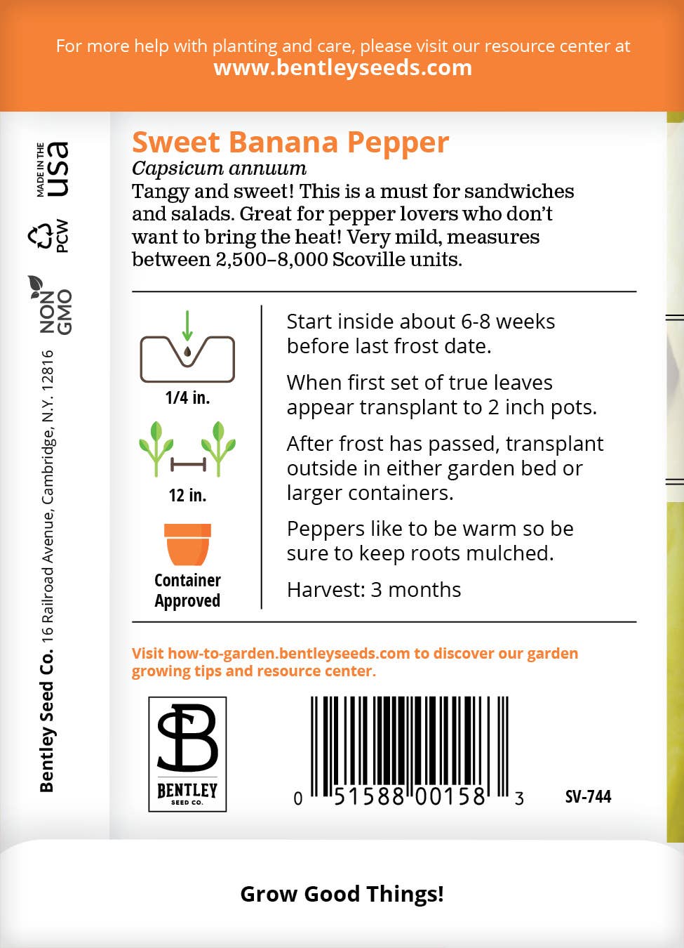 Sweet Banana Peppers growing on the vine