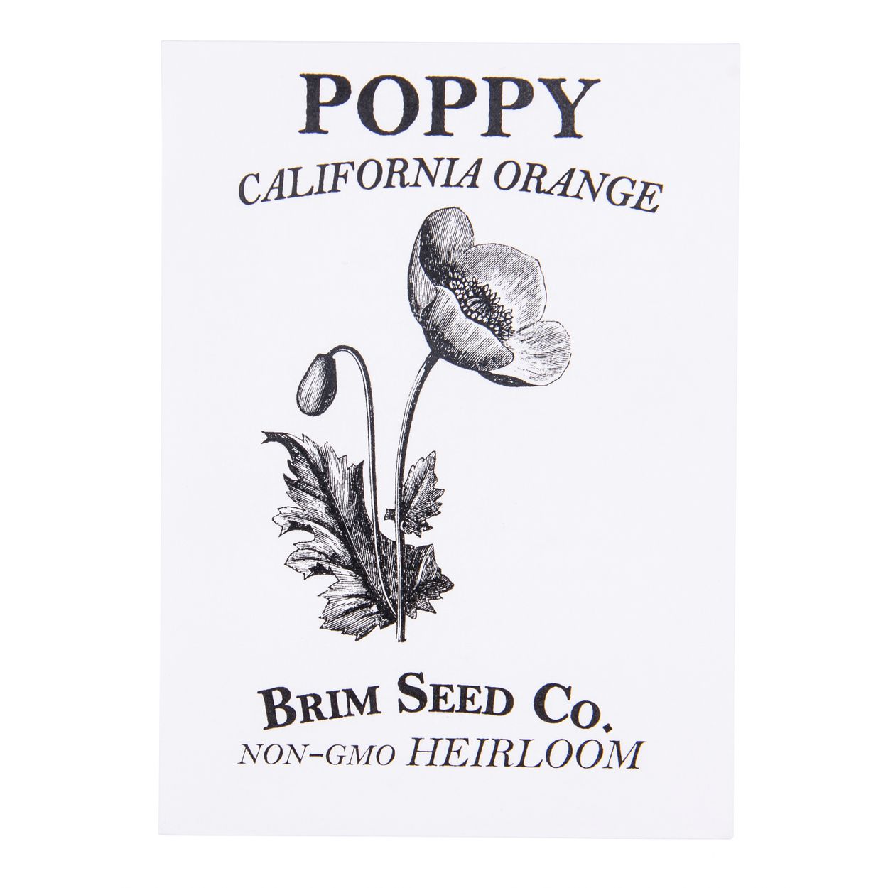 orange poppy flower seeds California Orange Poppy Heirloom Seeds