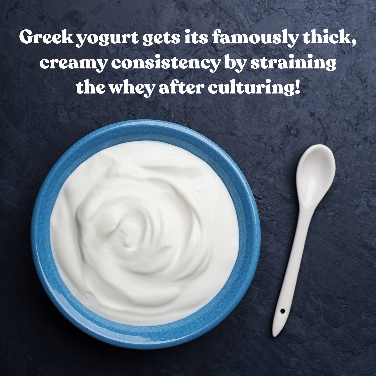 Greek Yogurt Starter Culture with finished yogurt