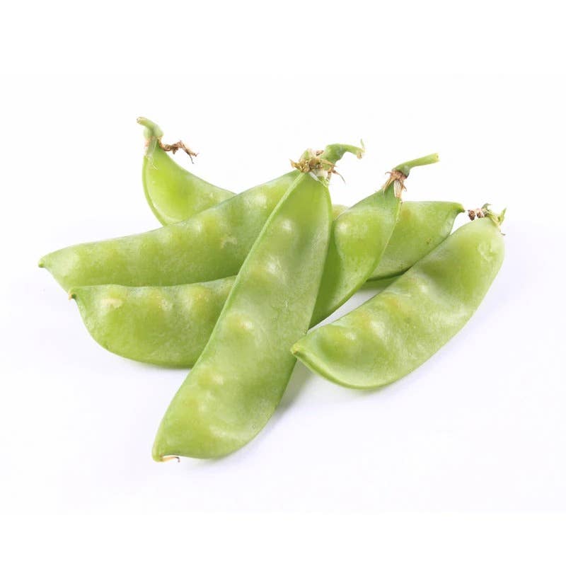 Pea Oregon Sugar Pod harvested snap peas