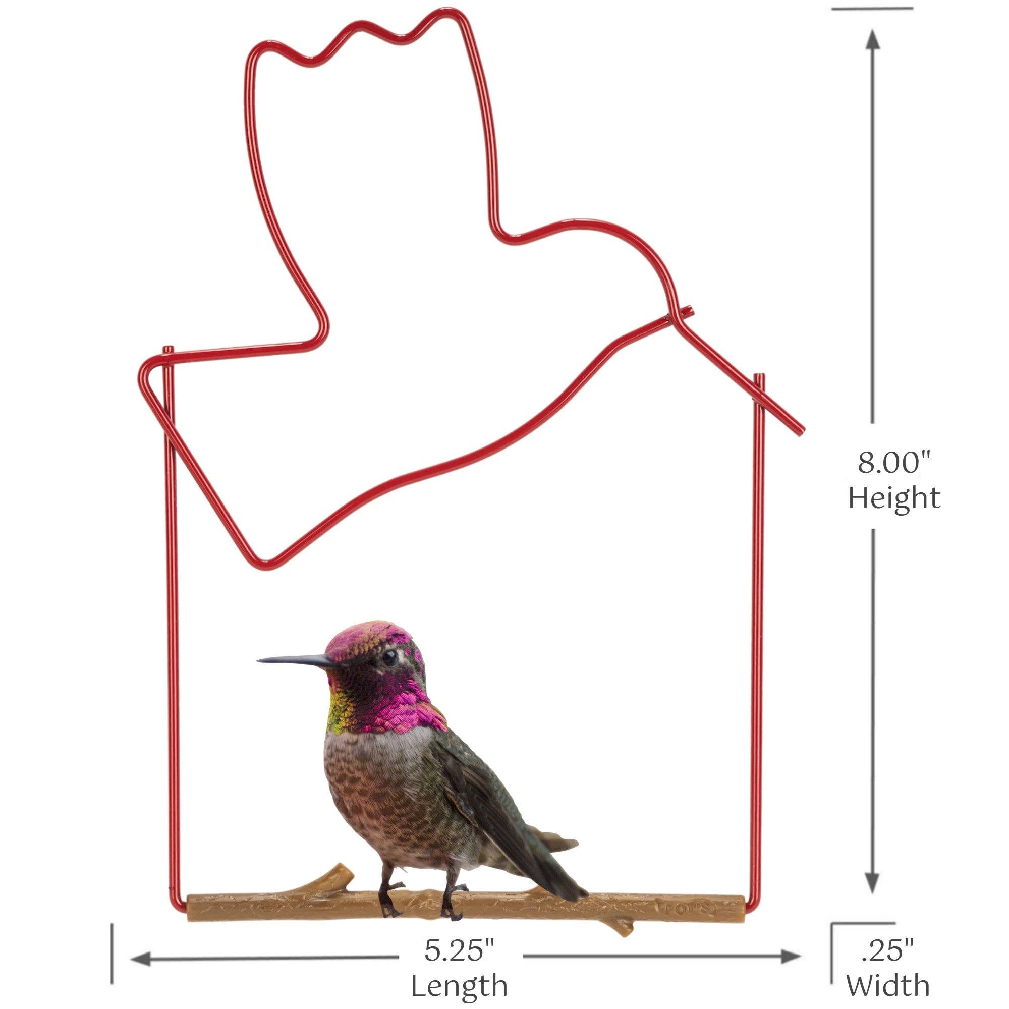 Hummingbird Swing Craft Red Bird with hummingbird perched