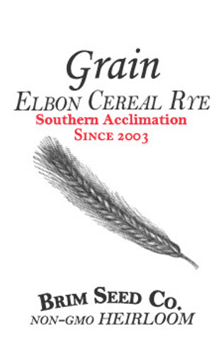Brim Seed Co. - Southern Acclimated Elbon Cereal Rye Grain Heirloom Seed