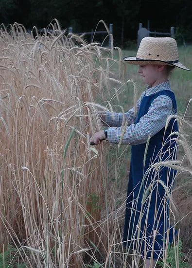 Brim Seed Co. - Southern Acclimated Elbon Cereal Rye Grain Heirloom Seed