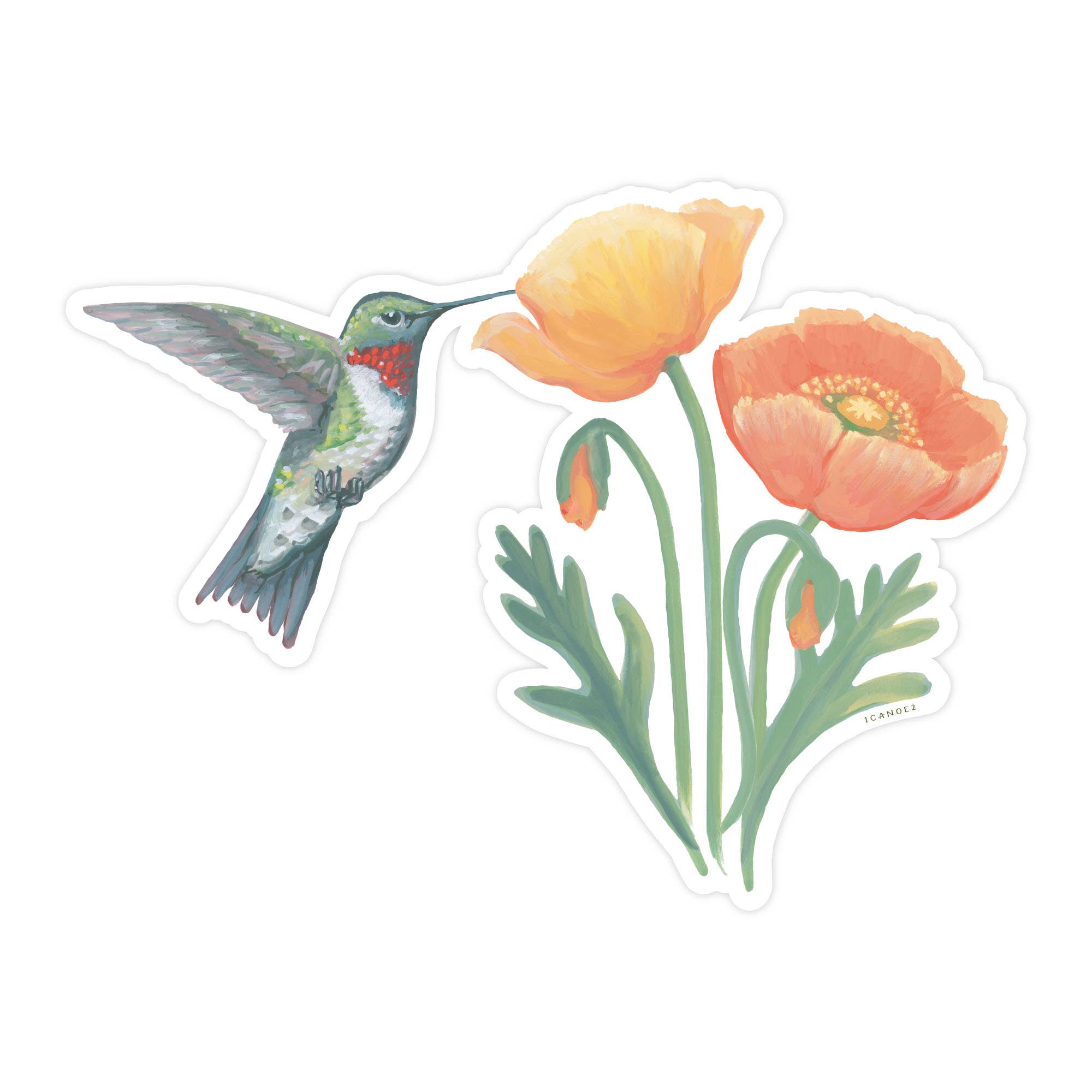 Hummingbird Poppies Decal Sticker