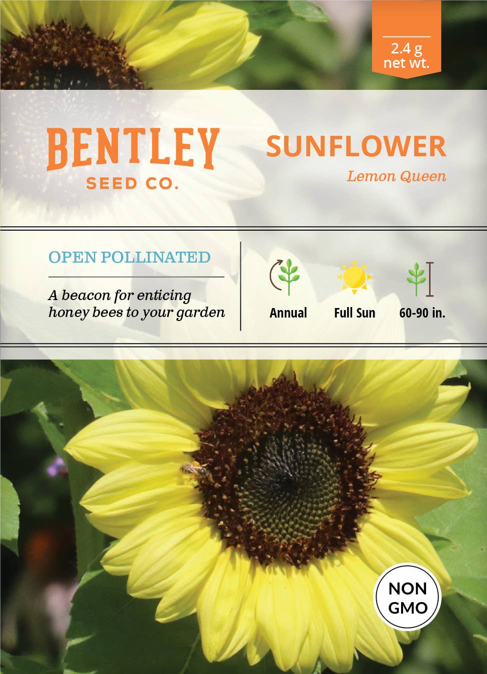 Sunflower Lemon Queen seed packet