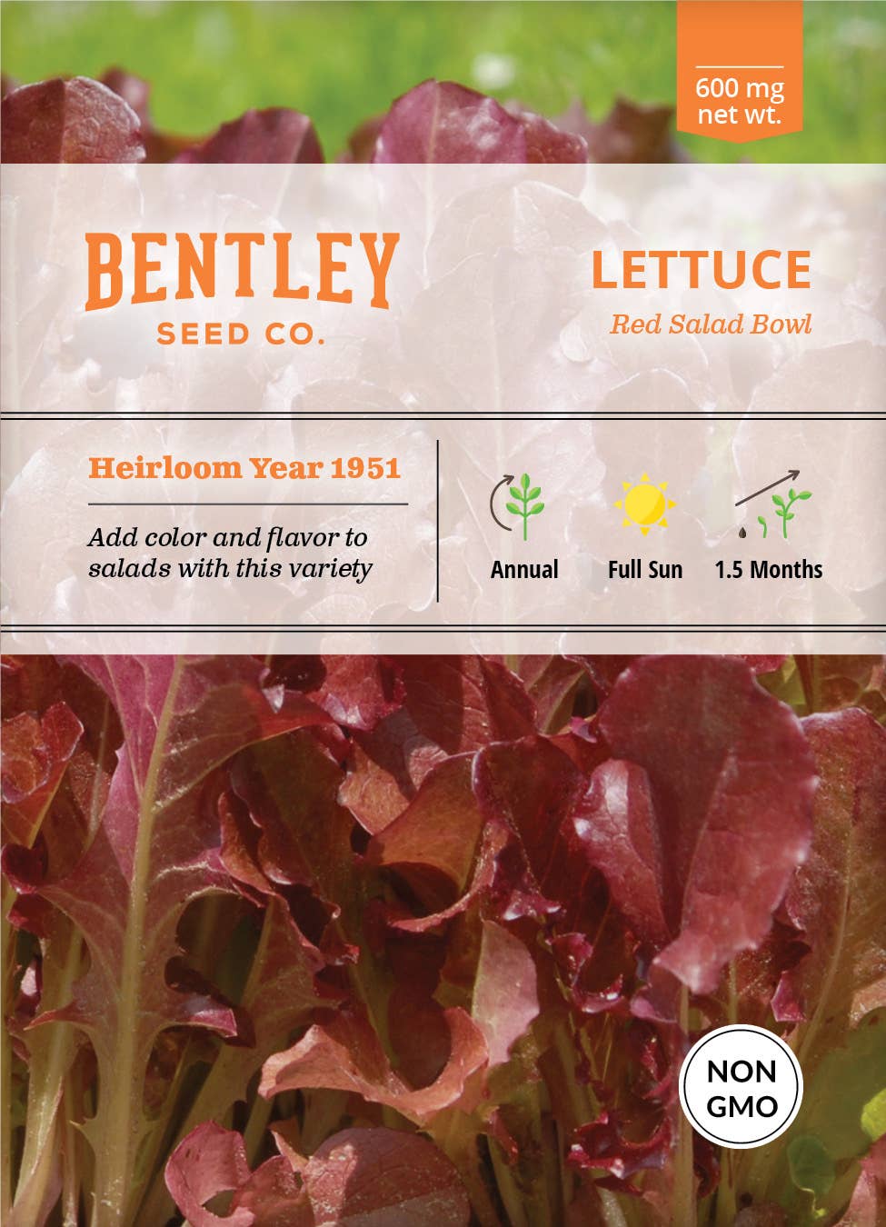 Red Salad Bowl lettuce seed packet