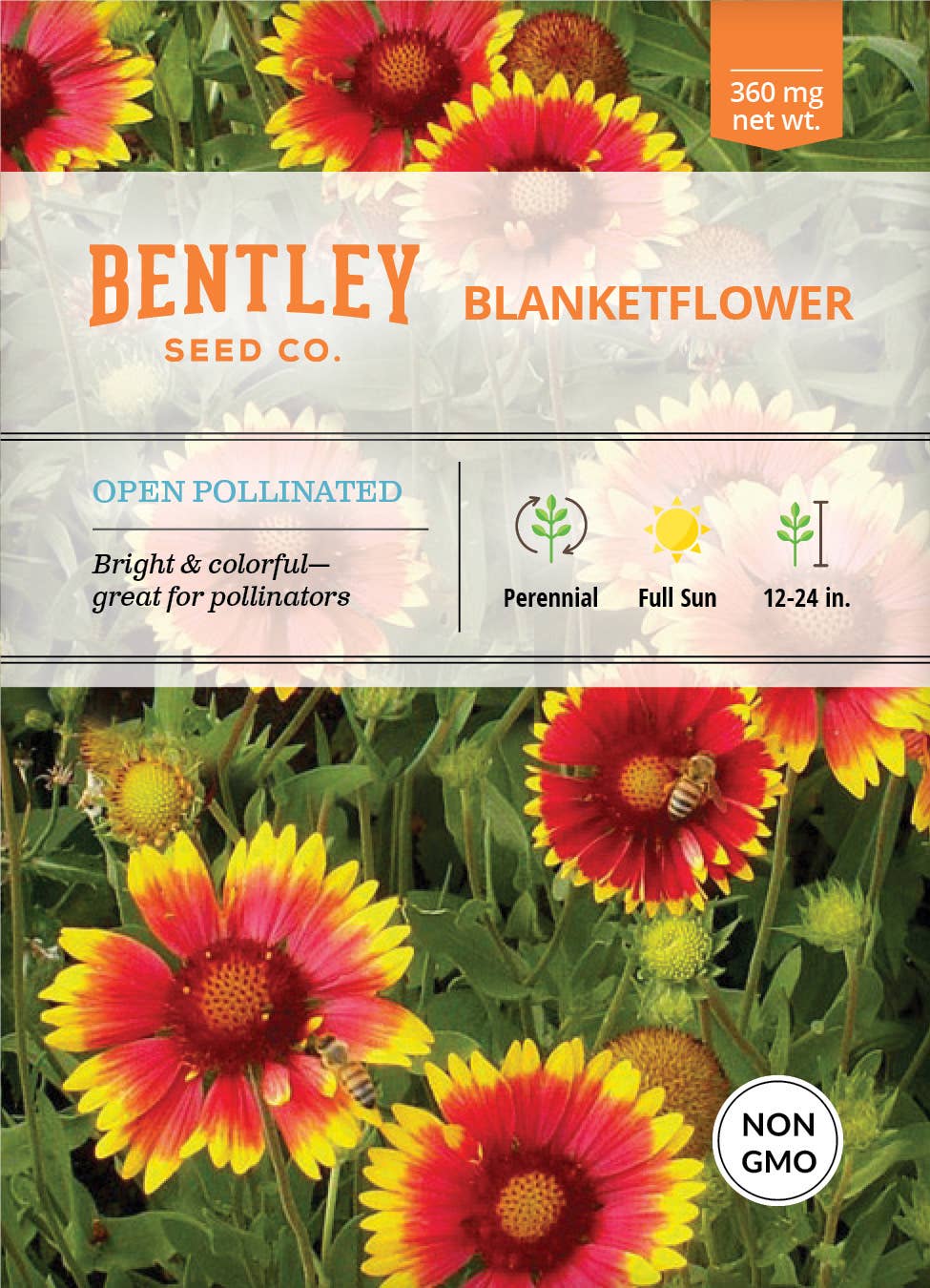 gaillardia blanket flower seeds Blanketflower Seeds