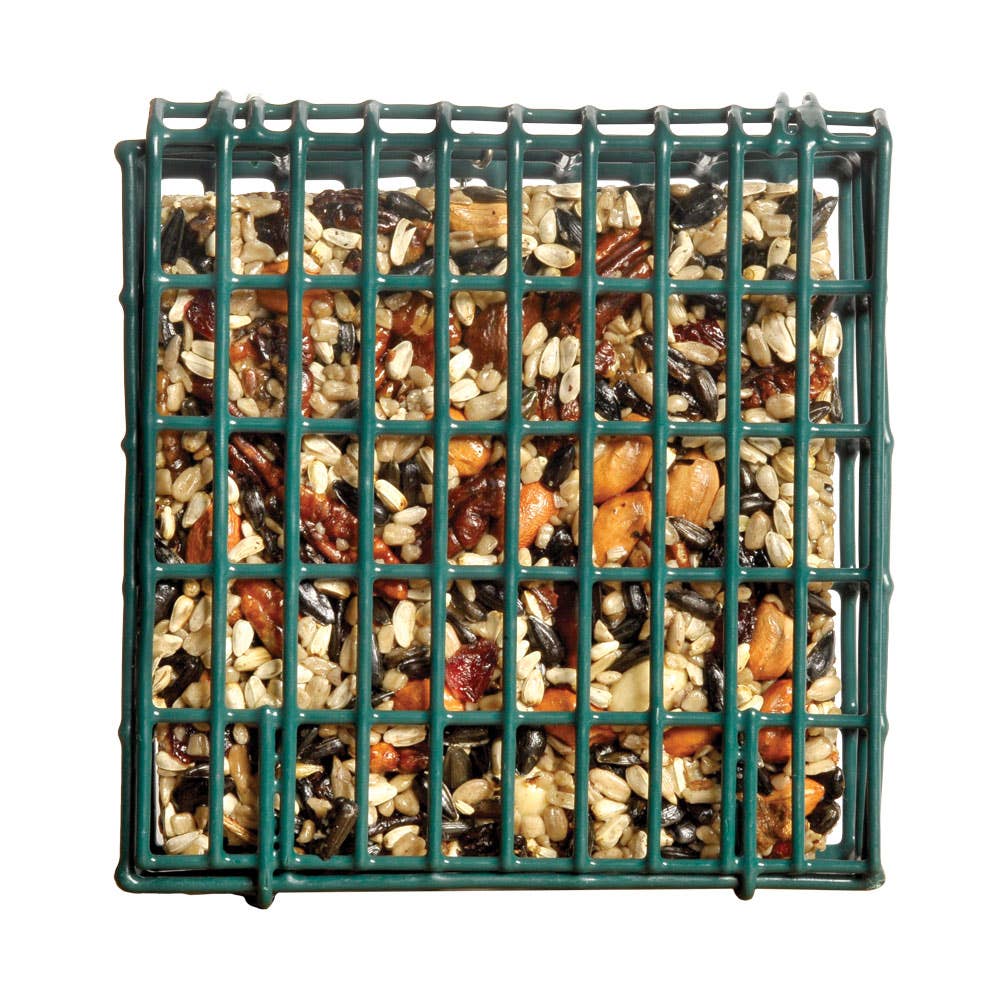 NeatFeeder bird feeder close-up view