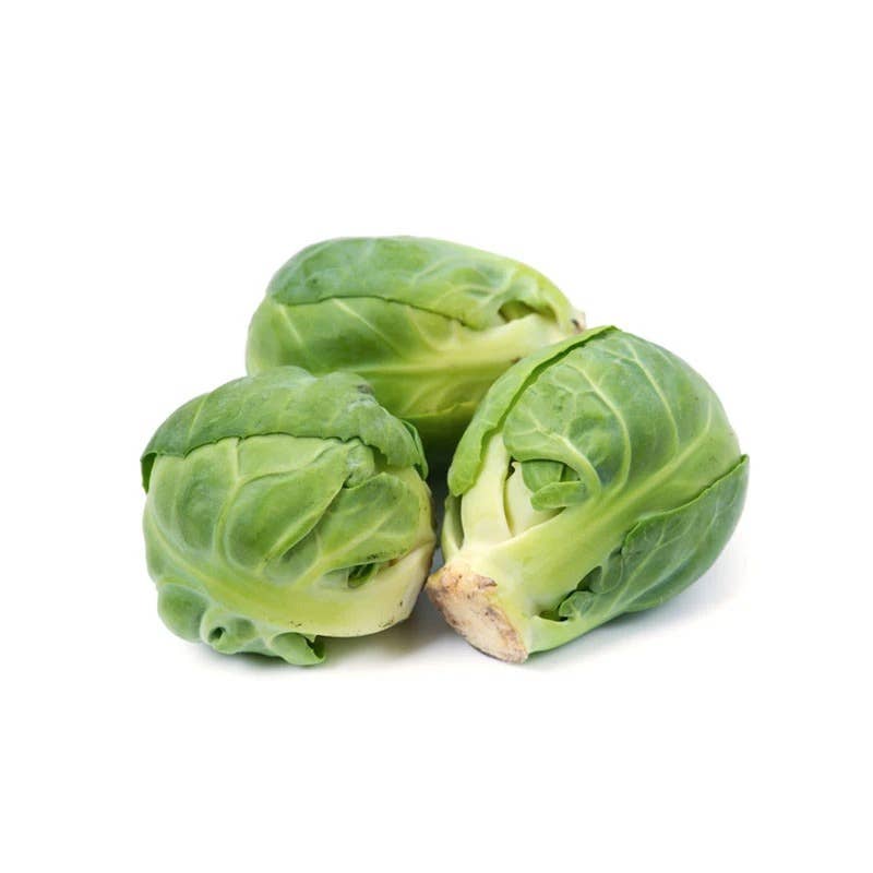 Brussel Sprouts Long Island Improved seed packet back with planting info