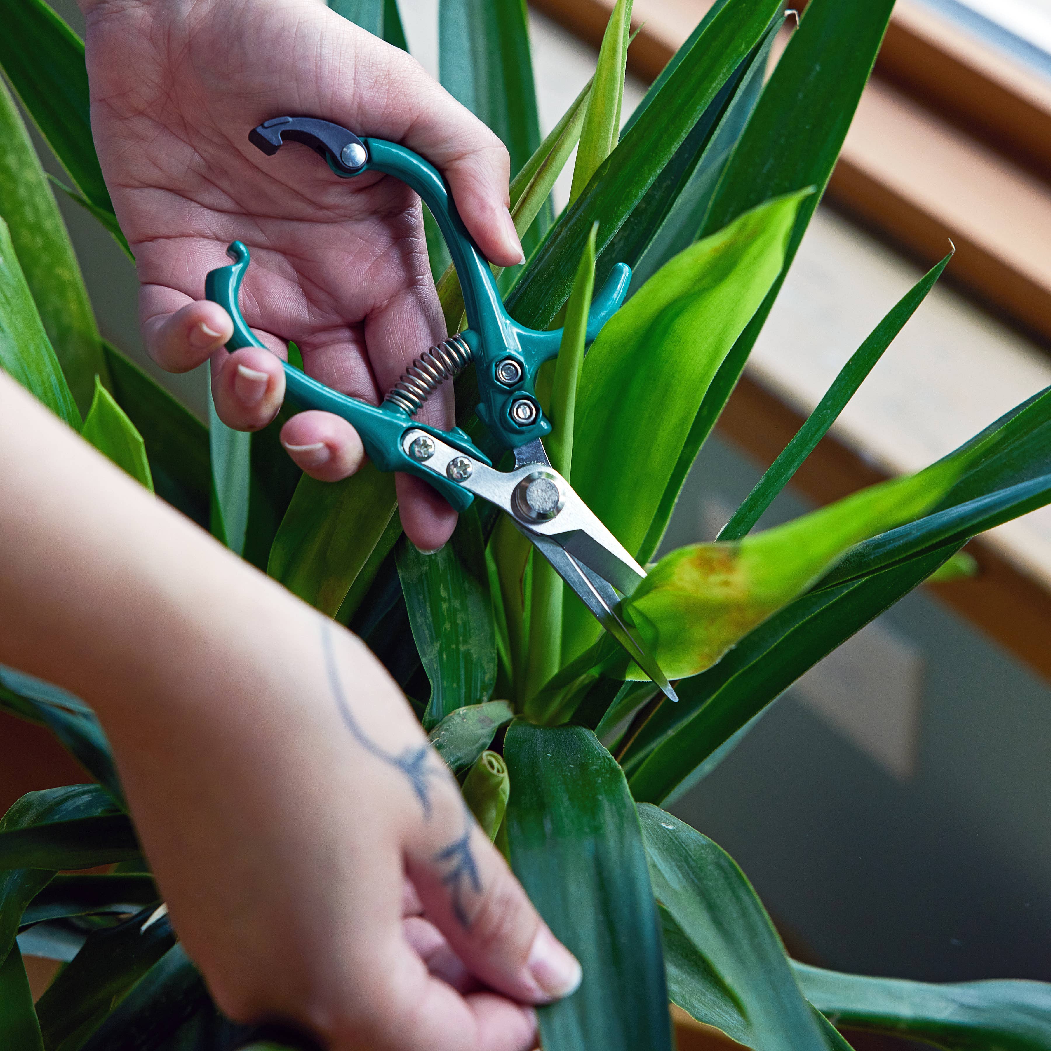 Garden shears in additional bright color option