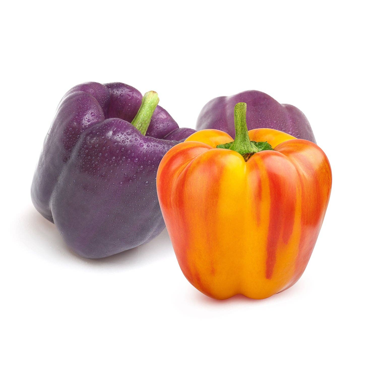 Assorted sweet carnival blend peppers freshly harvested
