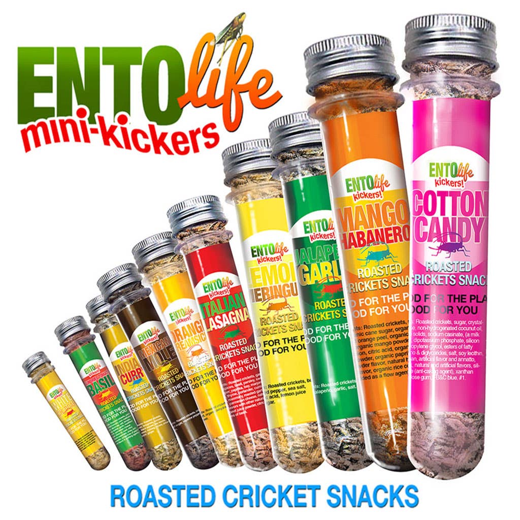 Mini-Kickers flavored cricket snacks packaging assortment