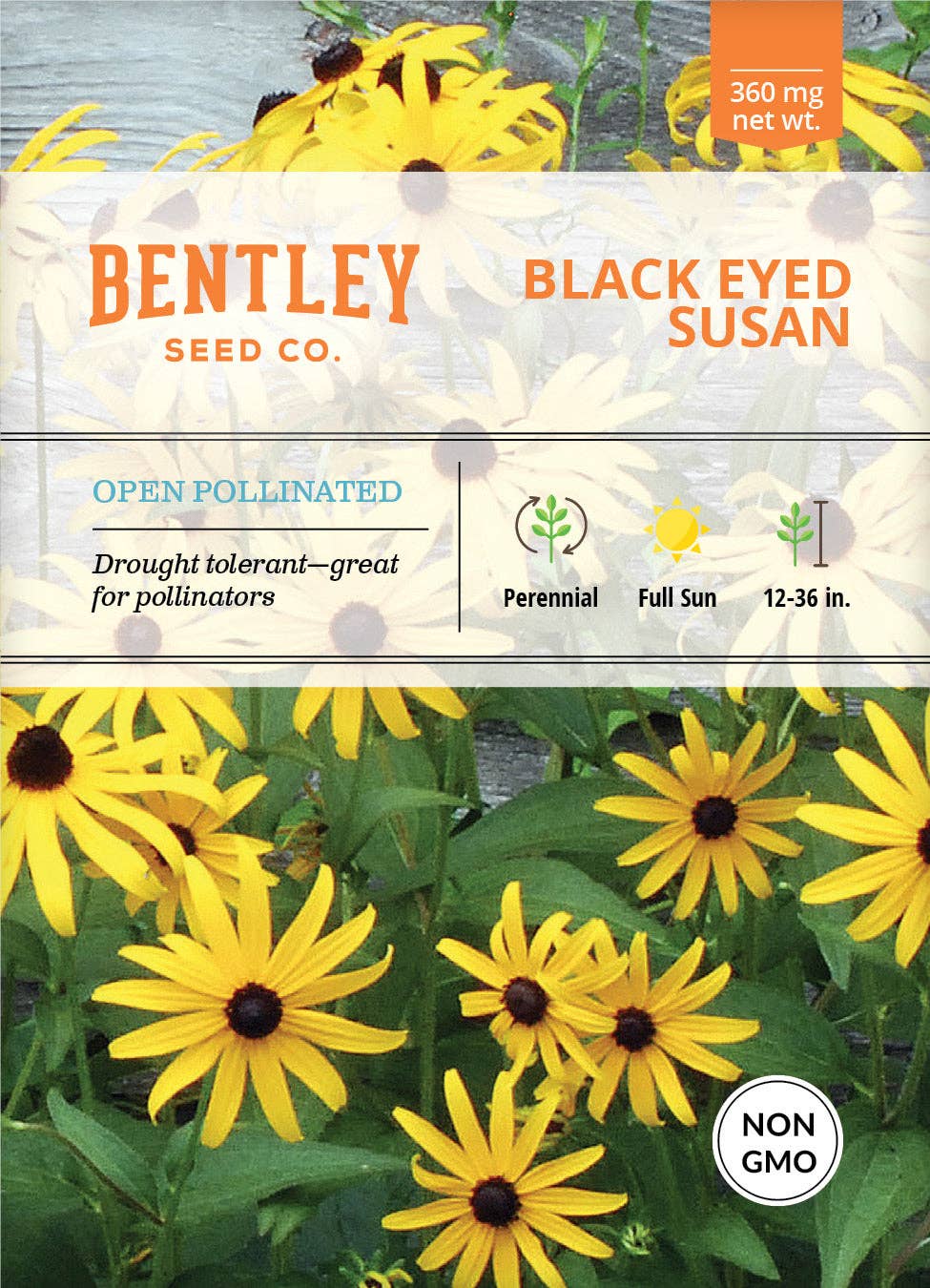 Brim Seed Co. Black-Eyed Susan seed packet front