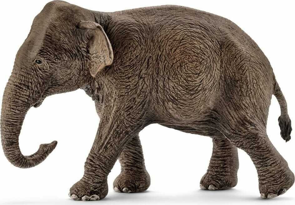 Schleich Asian Elephant Female collectible animal figurine