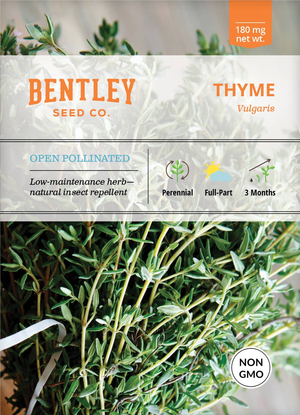 Thyme perennial plant seed packet