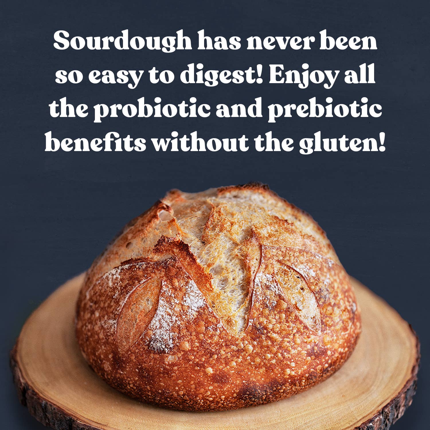Gluten-free sourdough starter finished bread example