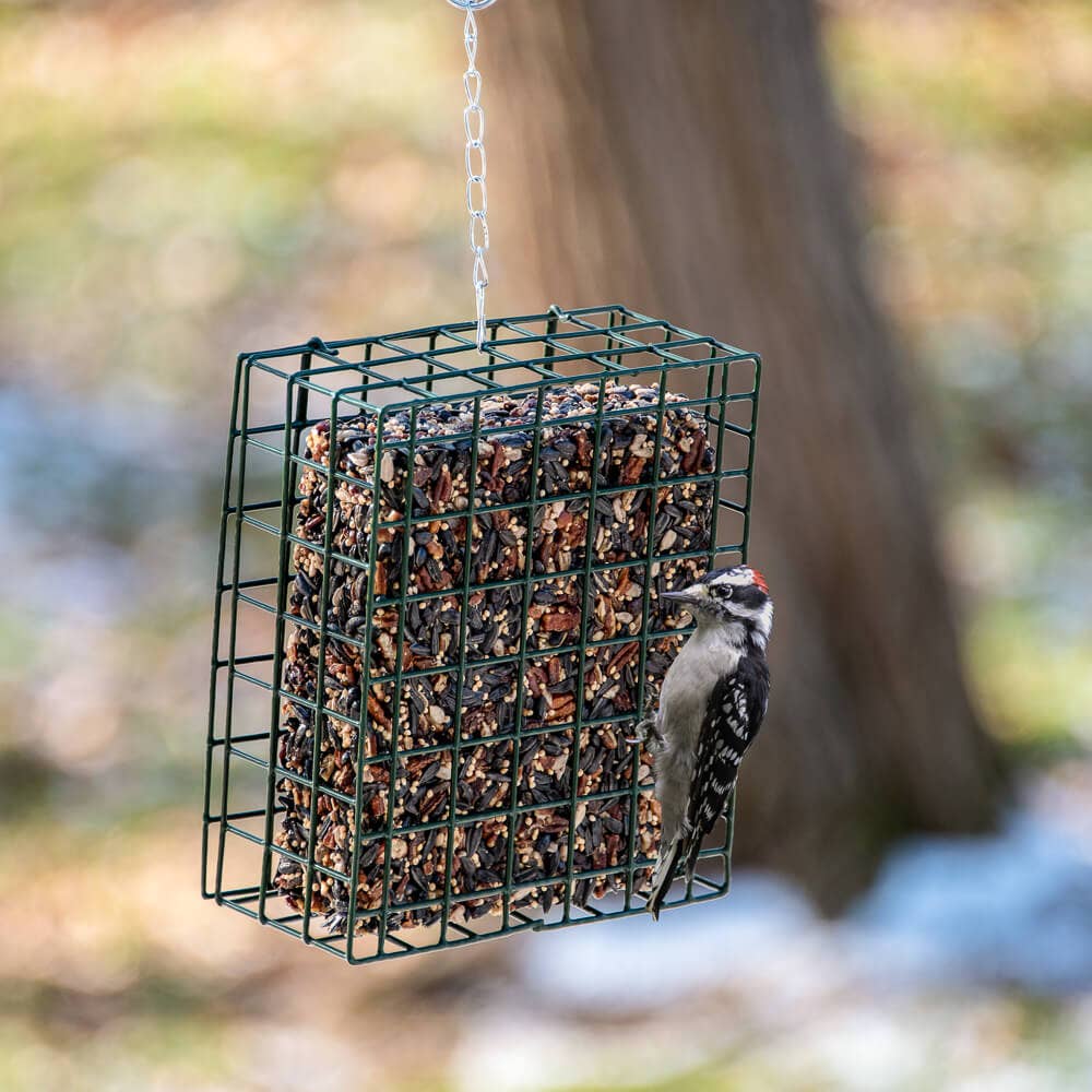NeatFeeder bird feeder side view