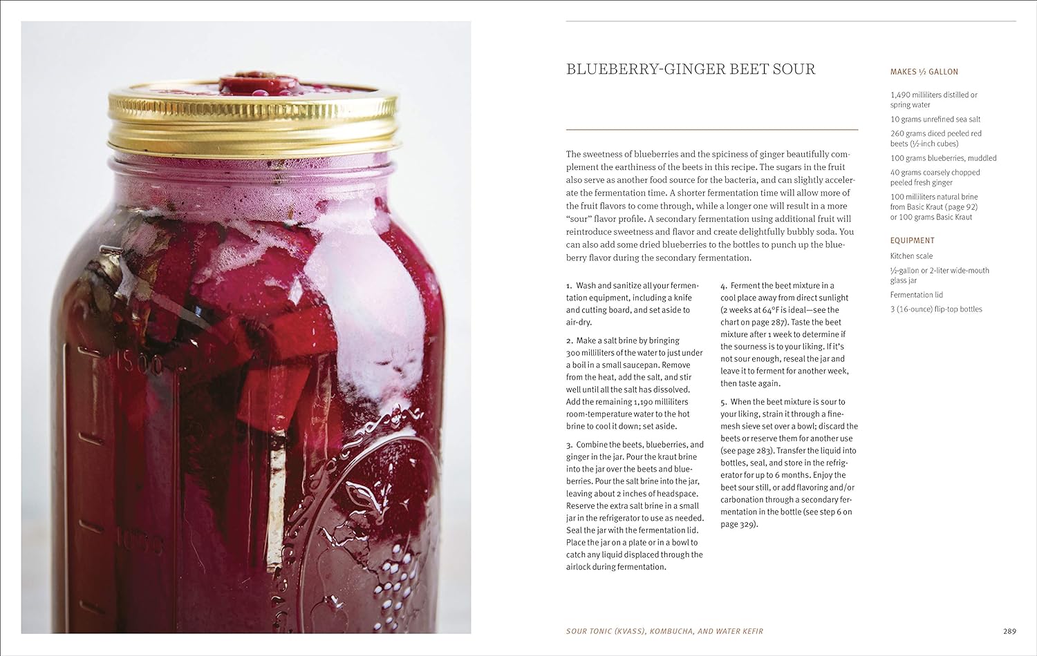 Farmhouse Culture Guide to Fermenting - by Kathryn Lukas and Shane Peterson