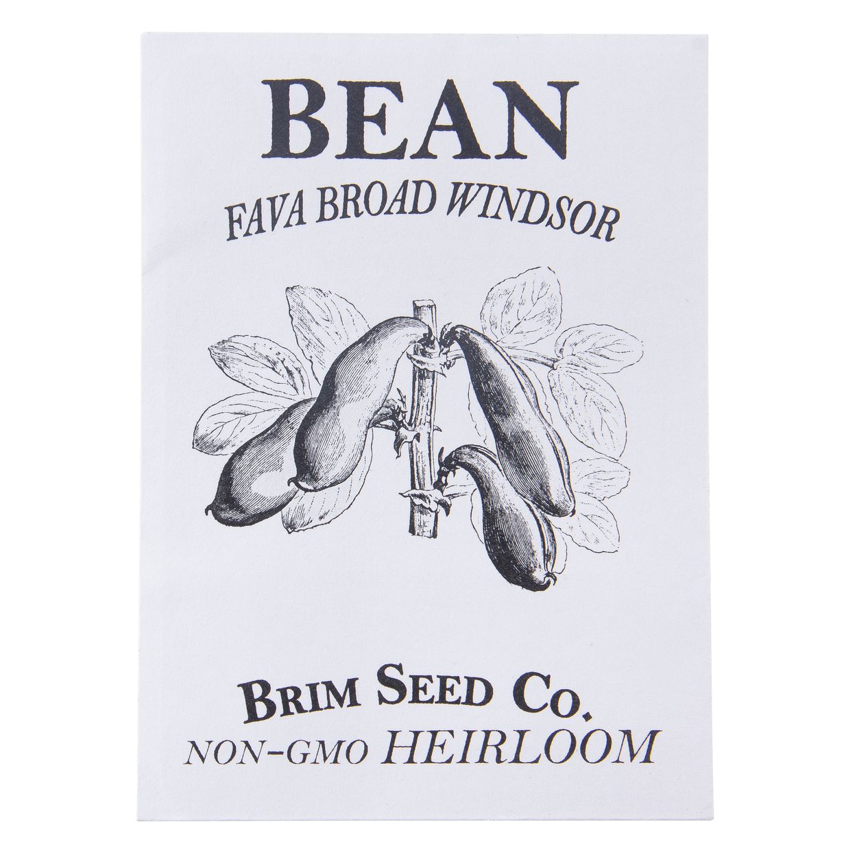 Brim Seed Co. - Fava Broad Windsor Bean Heirloom Seed