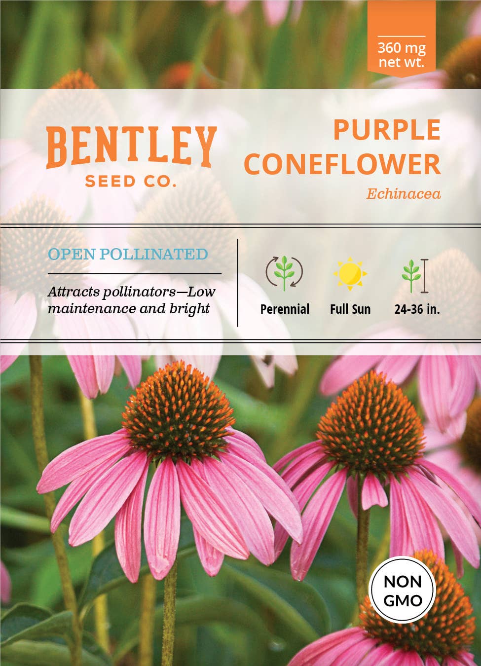 Purple Coneflower Echinacea Purpurea seed packet