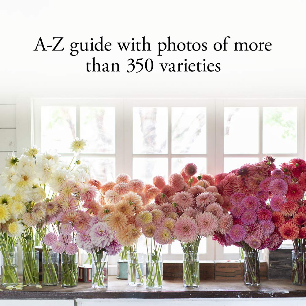 Floret Farm's Discovering Dahlias book dahlia variety page