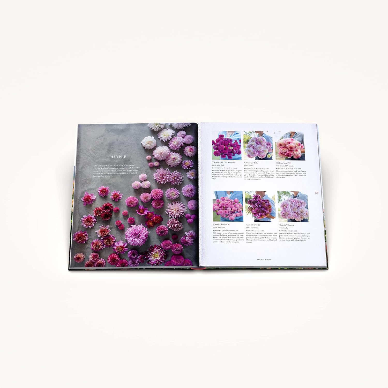 Floret Farm's Discovering Dahlias book interior color guide page