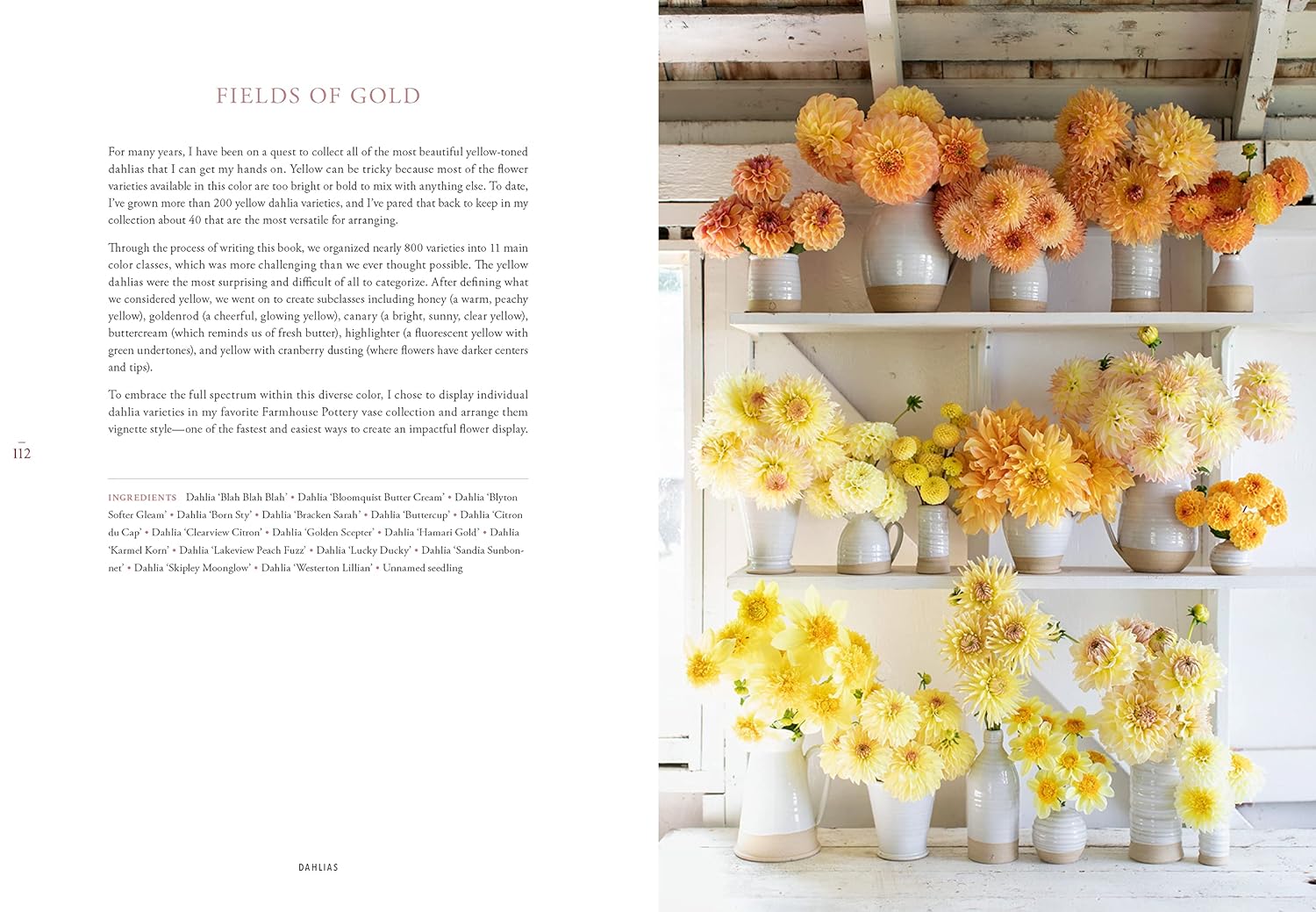 Floret Farm's Discovering Dahlias book interior planting tips page