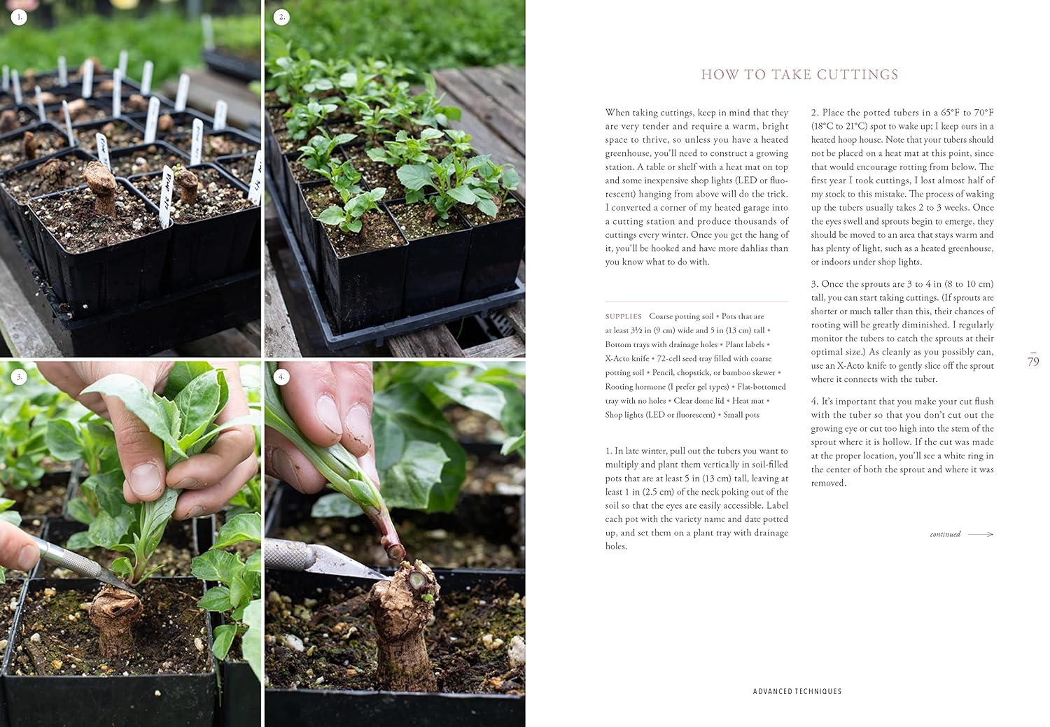 Floret Farm's Discovering Dahlias book interior garden page