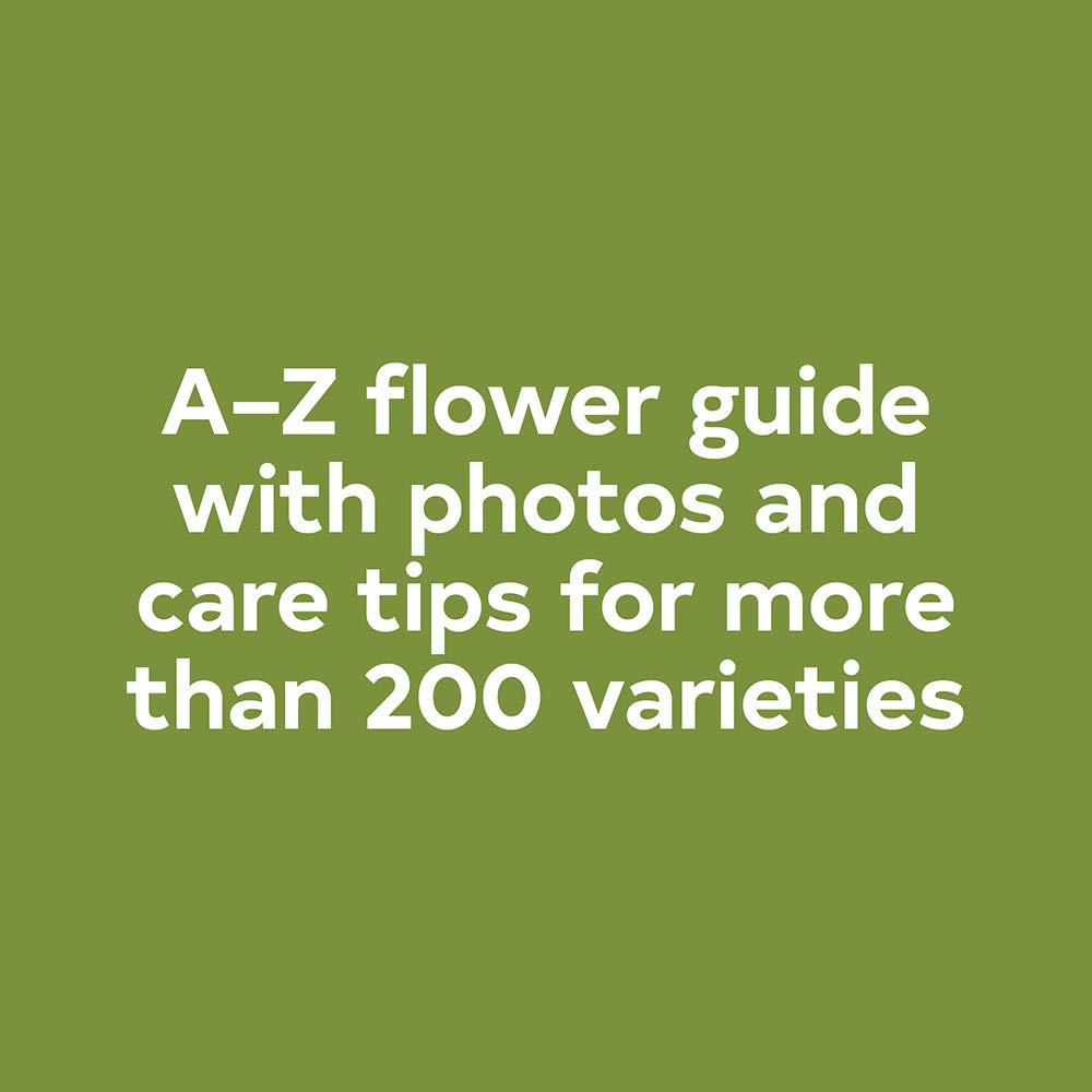 Floret Farm's A Year in Flowers book back cover