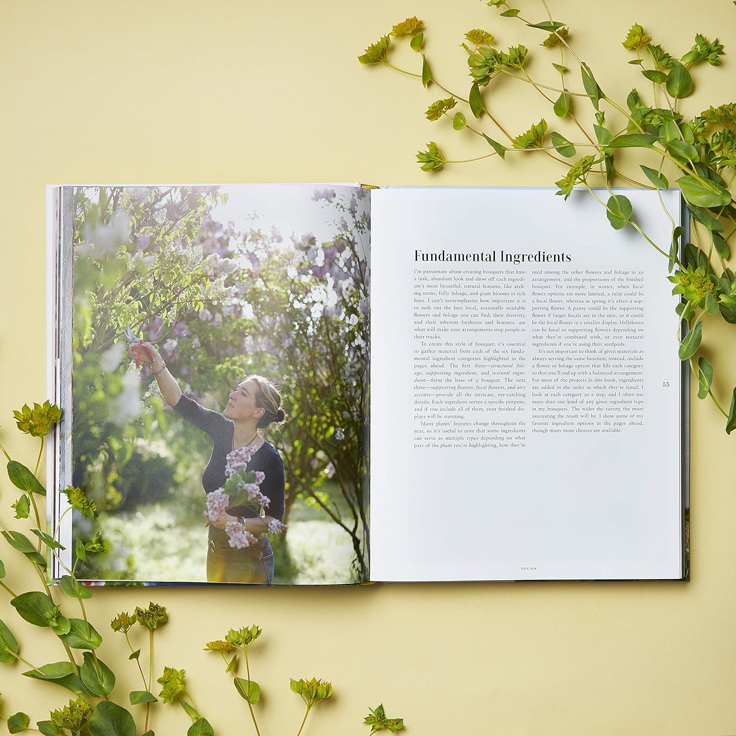 Floret Farm's A Year in Flowers book garden photography