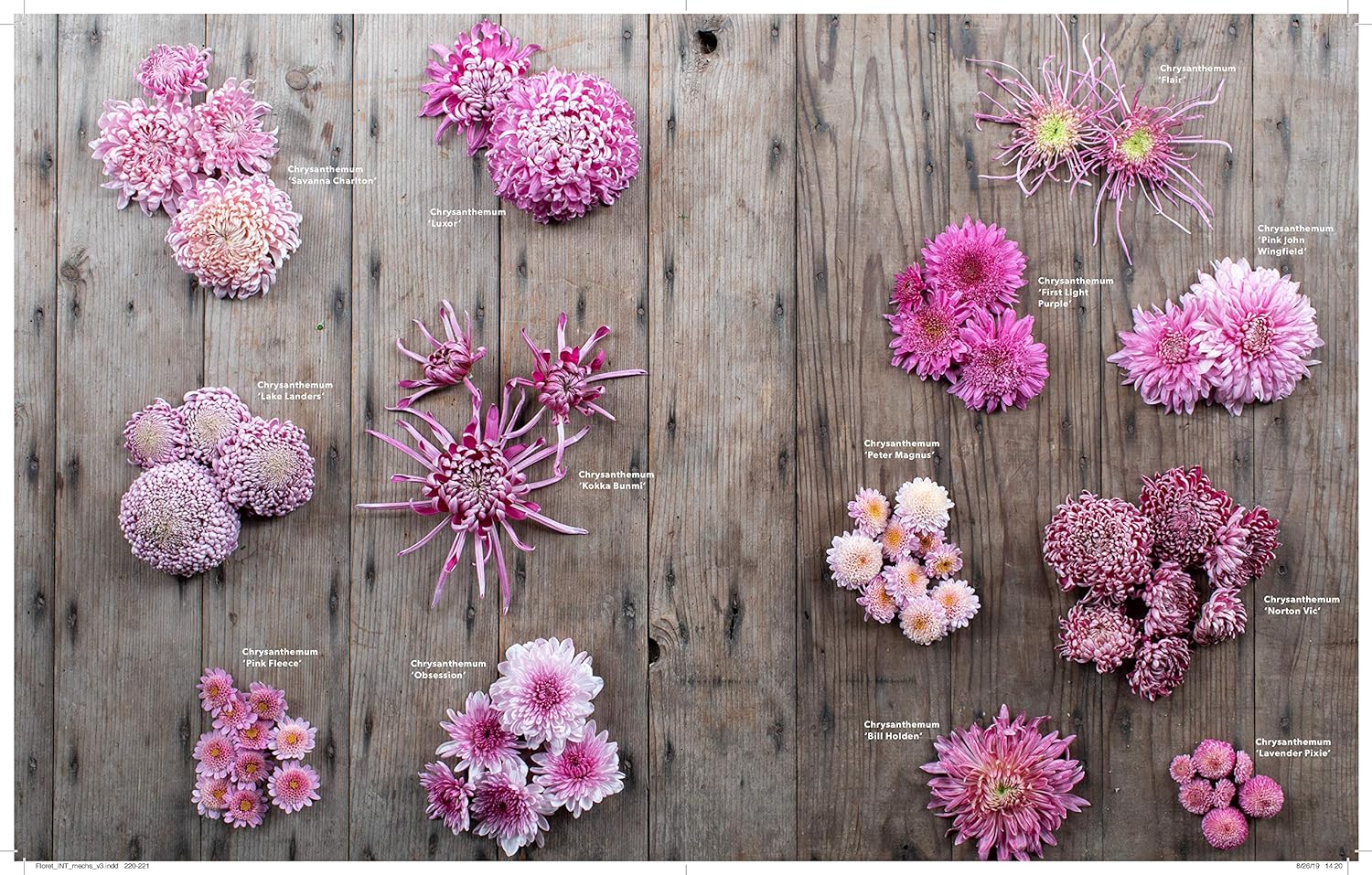 Floret Farm's A Year in Flowers book bouquet instructions