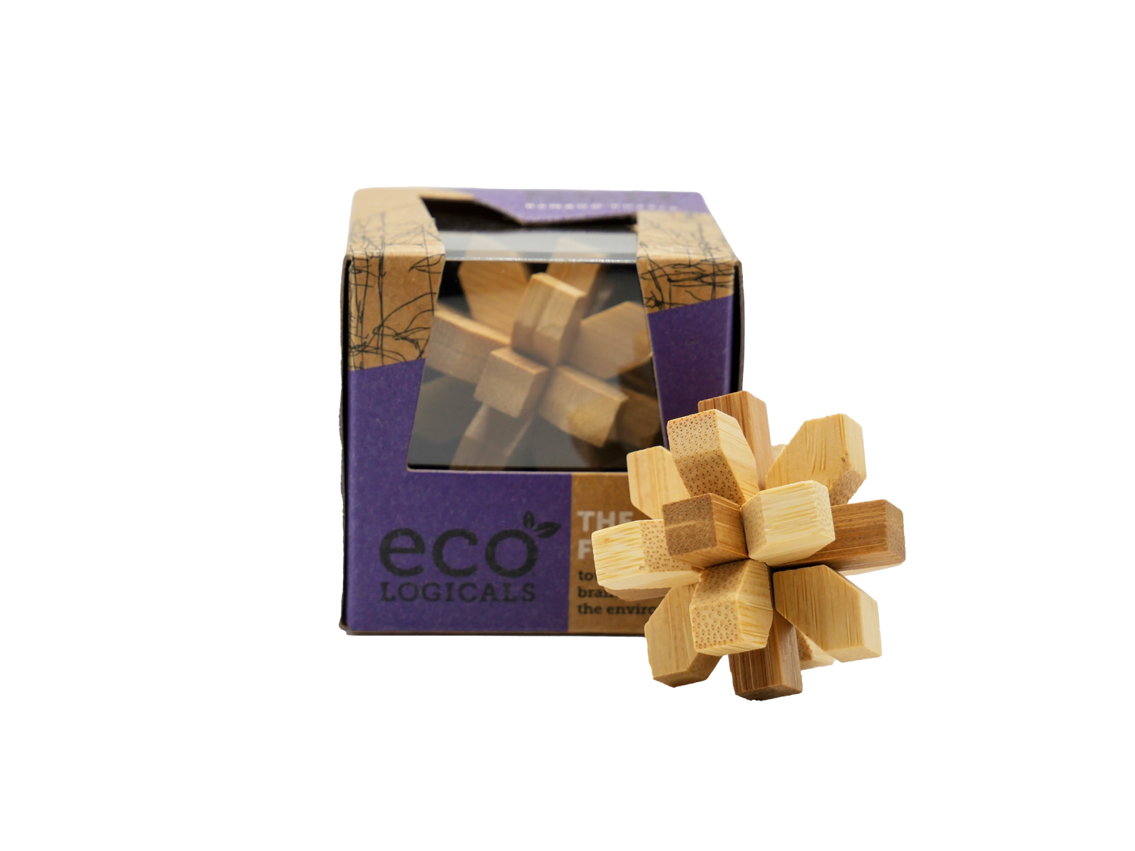 Project Genius Mini EcoLogicals brainteaser puzzle variant