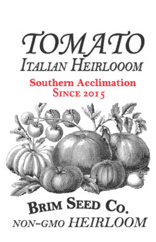 Brim Seed Co. - Southern Acclimated Italian Heirloom Tomato Seed