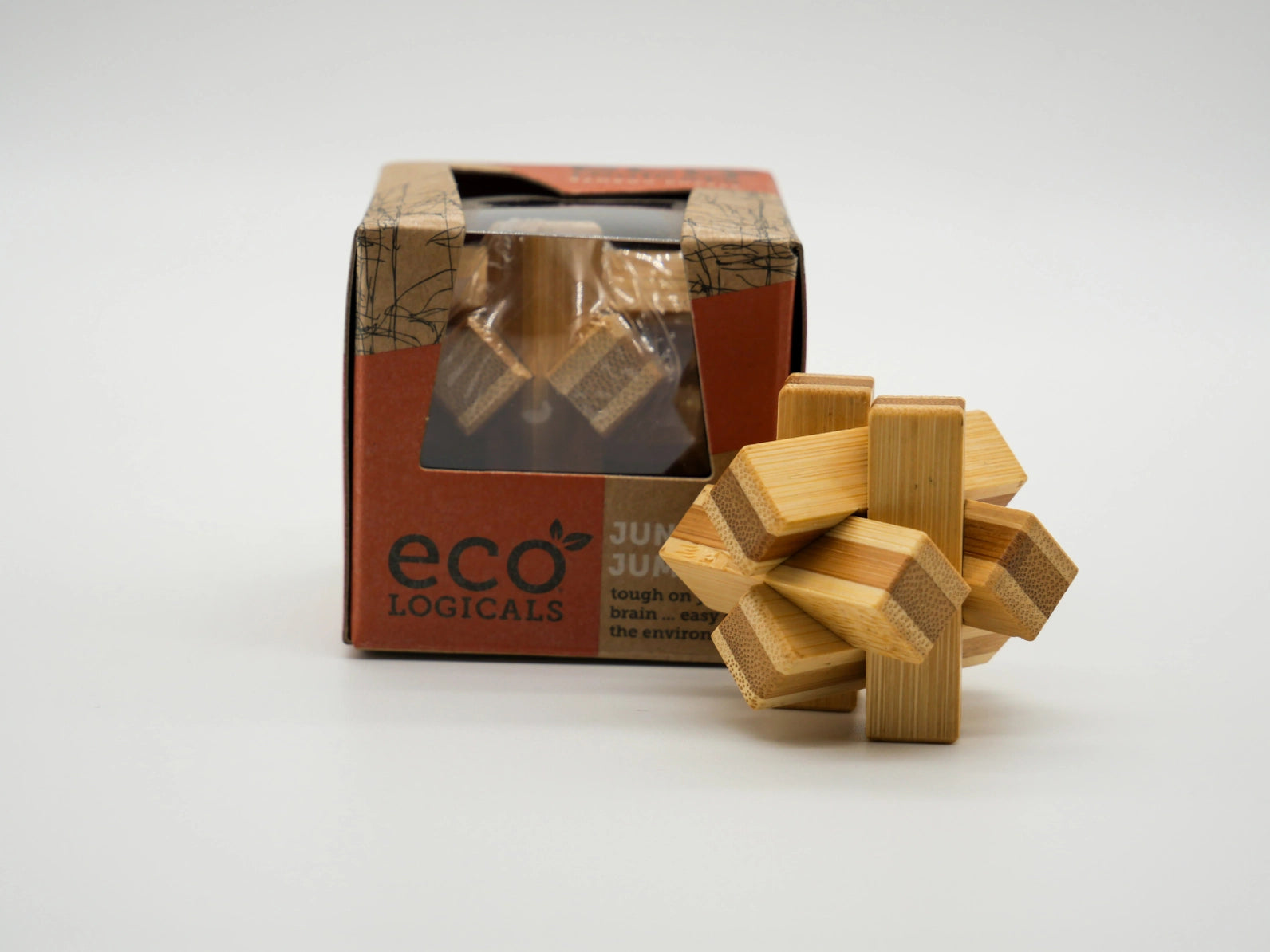 Project Genius Mini EcoLogicals brainteaser puzzle closeup