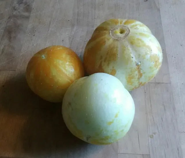 Brim Seed Co. - Lemon Cucumber Heirloom Seed