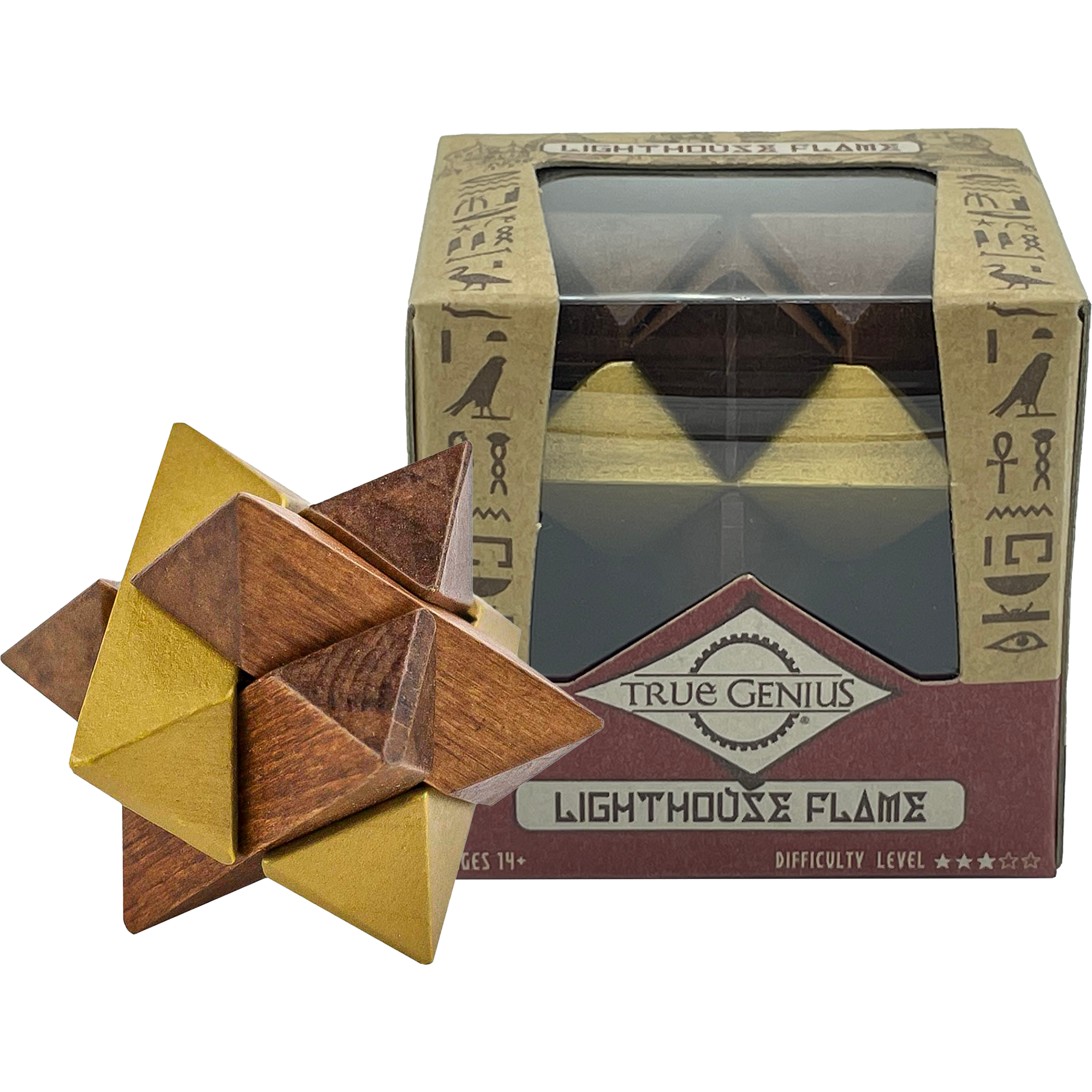 Project Genius True Genius puzzle additional style