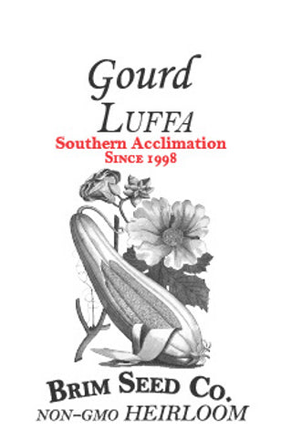 Brim Seed Co. - Southern Acclimated Luffa Gourd Heirloom Seed
