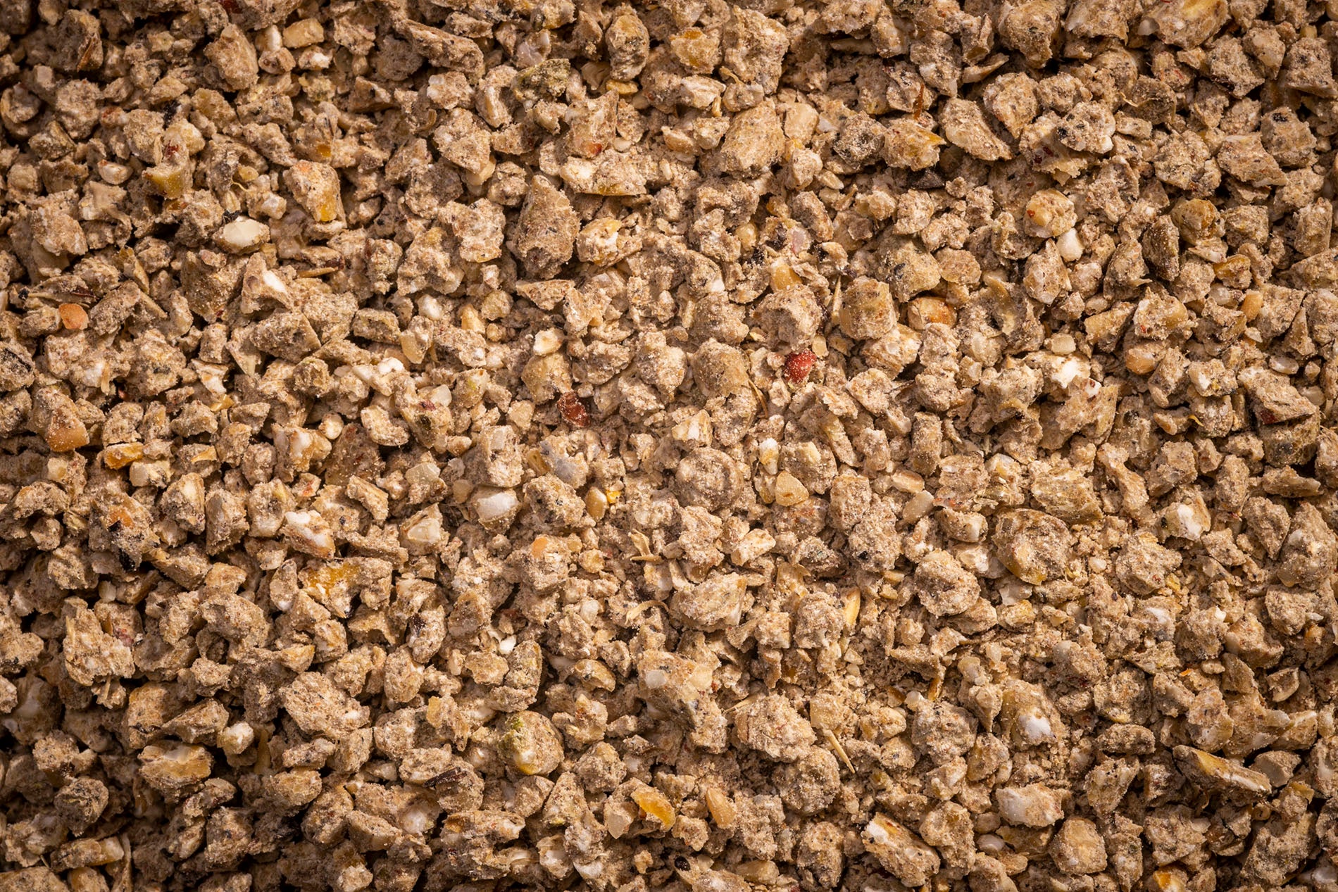 Modesto Organic Starter Grower Non-Corn/Soy feed label detail