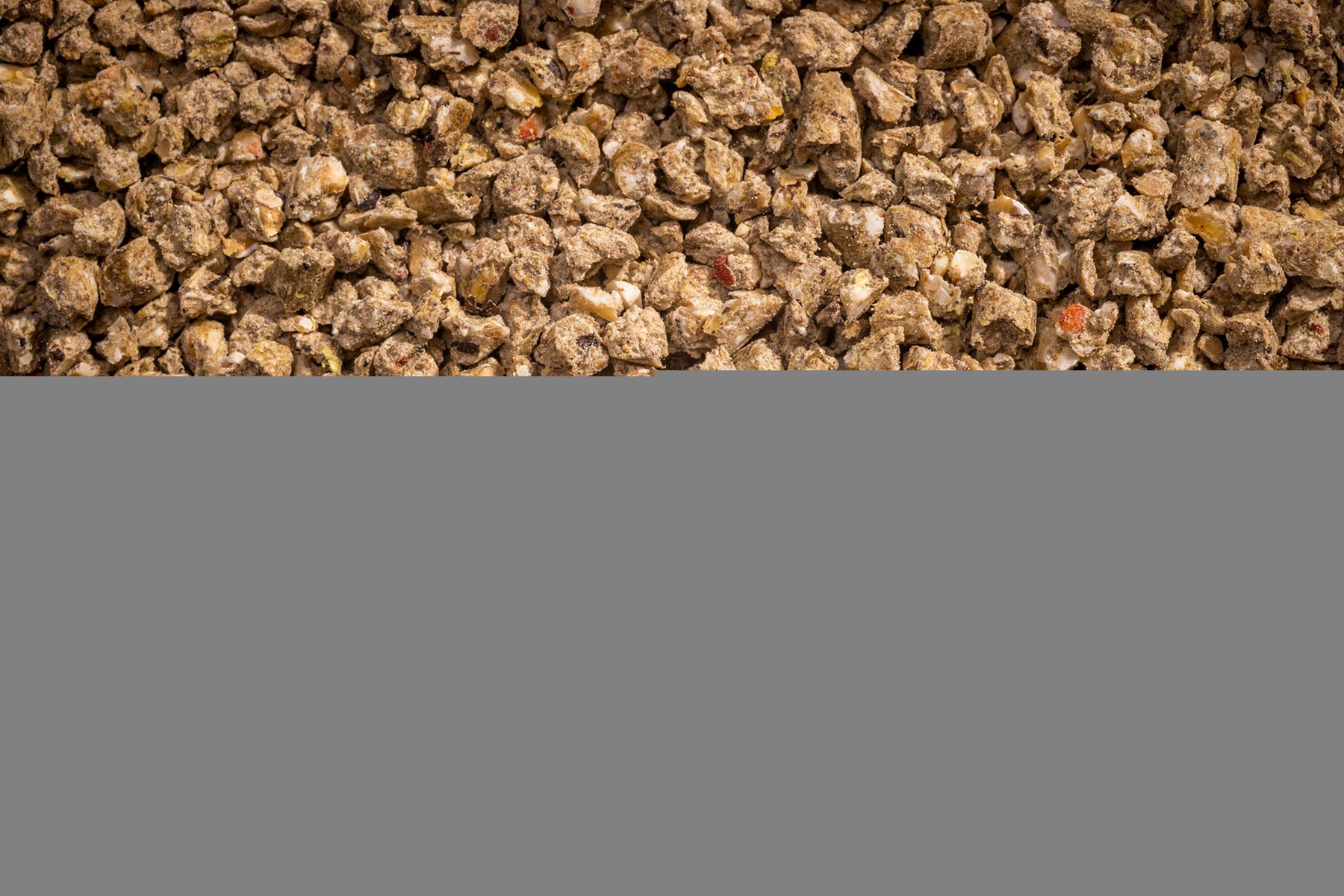 Modesto Organic Layer Crumble Non-Corn/Soy feed label detail