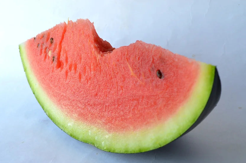 Brim Seed Co. - Moon And Stars Watermelon Heirloom Seed
