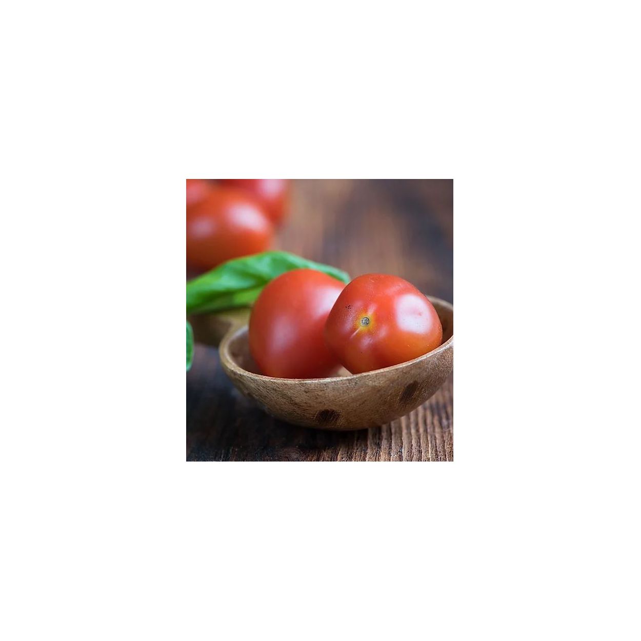 Brim Seed Co. - Porter Tomato Heirloom Seed