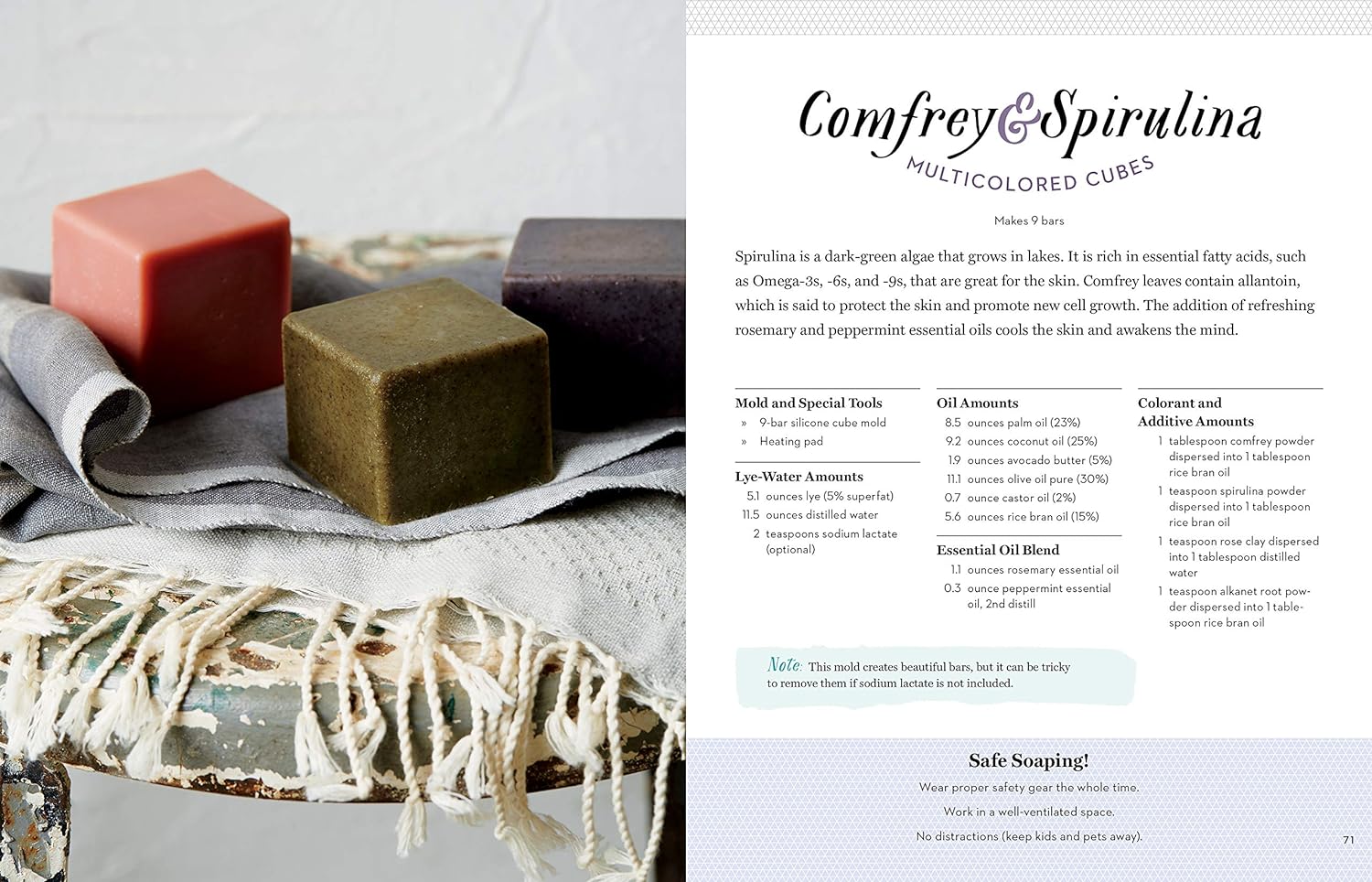 Pure Soapmaking: How to Create Nourishing, Natural Skin Care Soaps - by Anne-Marie Faiola