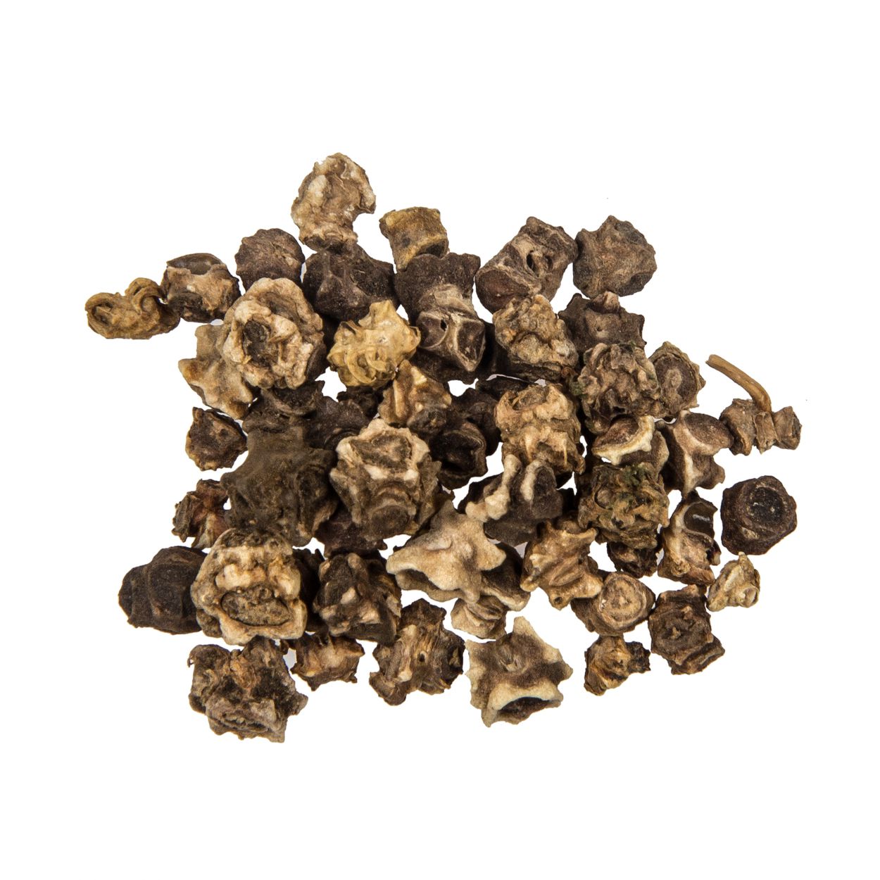 Brim Seed Co. - Rainbow Swiss Chard Heirloom Seed