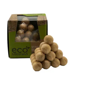 Project Genius Mini EcoLogicals wooden puzzle challenge