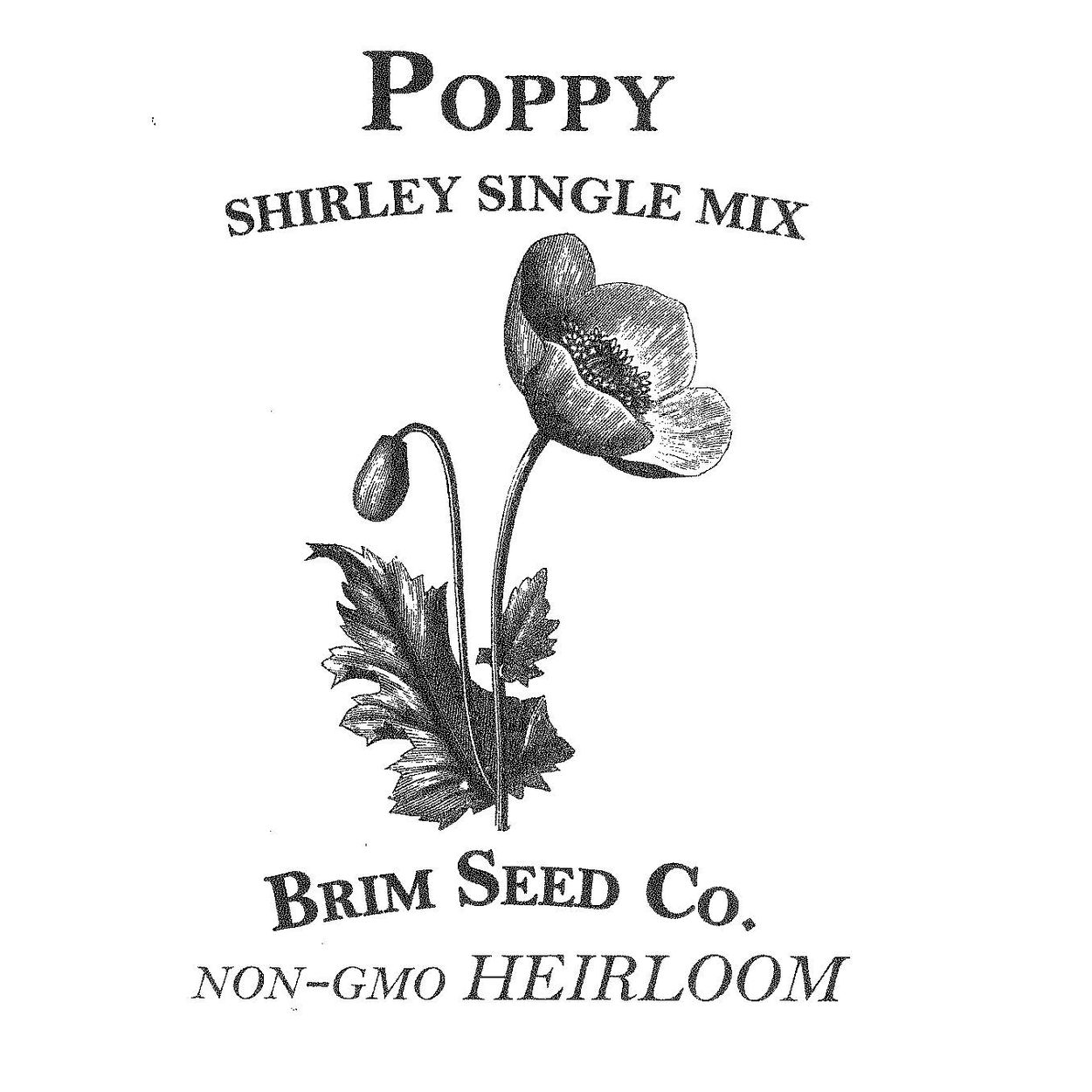 heirloom flower seeds Shirley Single Mix Poppy Heirloom Seeds