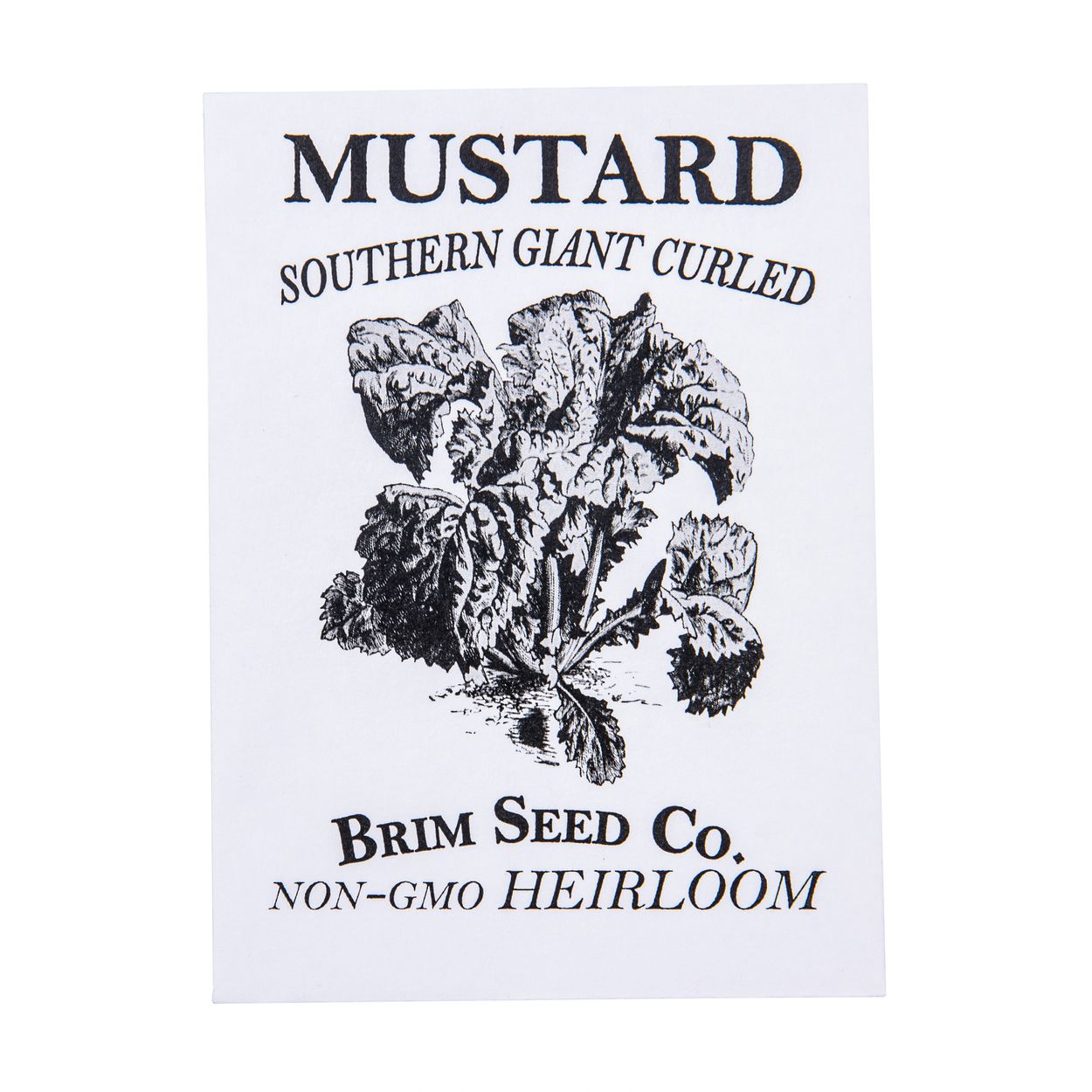 Brim Seed Co. - Southern Giant Curled Mustard Greens Heirloom Seed