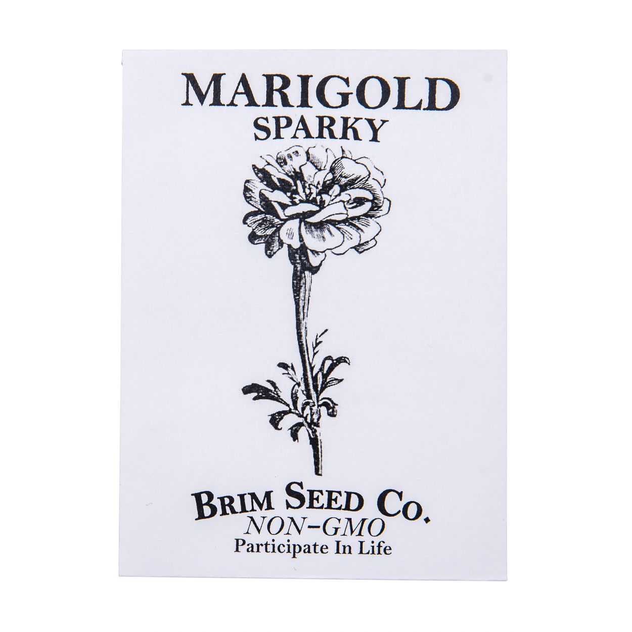 white marigold flower seeds Sparky Marigold Flower Seed